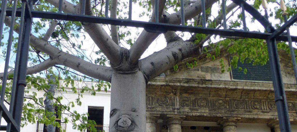 MD Projektmanagement – El Templete